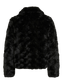 pack_shot-back