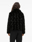model_shot-back